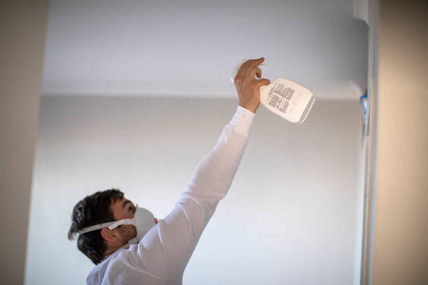 Best Mold Removal Near Me  in Dunlap, OH