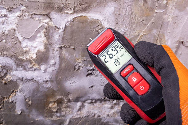 Best Emergency Mold Removal  in Dunlap, OH