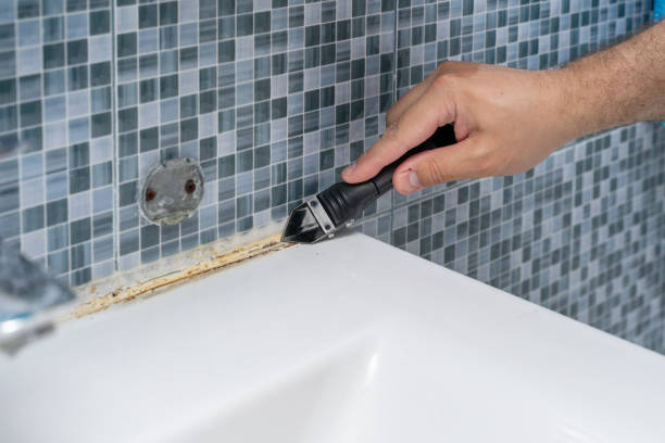 Mold Removal Process in Dunlap, OH